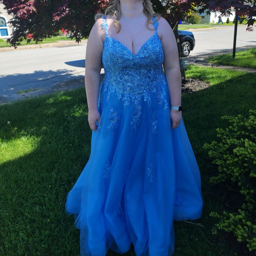 Ellie Wilde Prom Dress Size 24